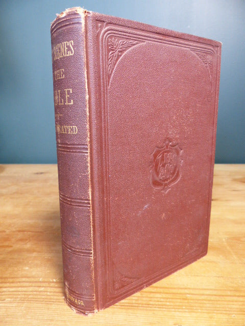 Night Scenes in the Bible Illustrated Daniel March D.D. 1869 beautifully illustrated