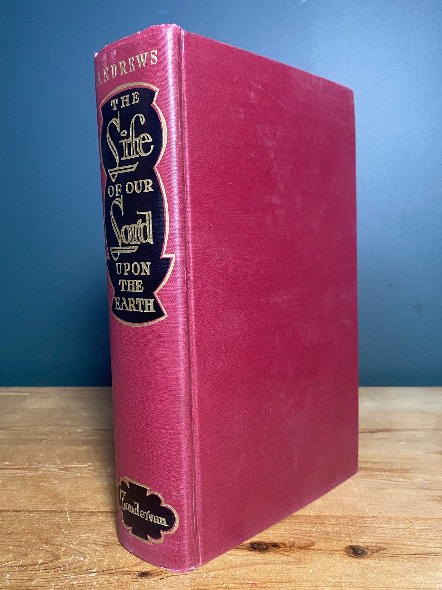 Life of Our Lord Upon the Earth - Saumuel J. Andrews